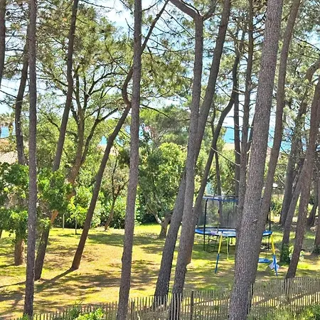 Villa Recente Avec 4 Et Piscine Privee, Proche - Casa Di Mare
